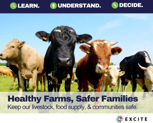 Farming, Food, and Health with cows