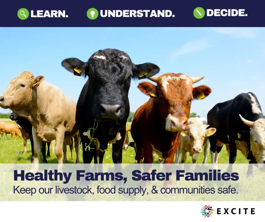 Farming, Food, and Health with cows