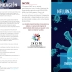 Flu Brochure in Spanish