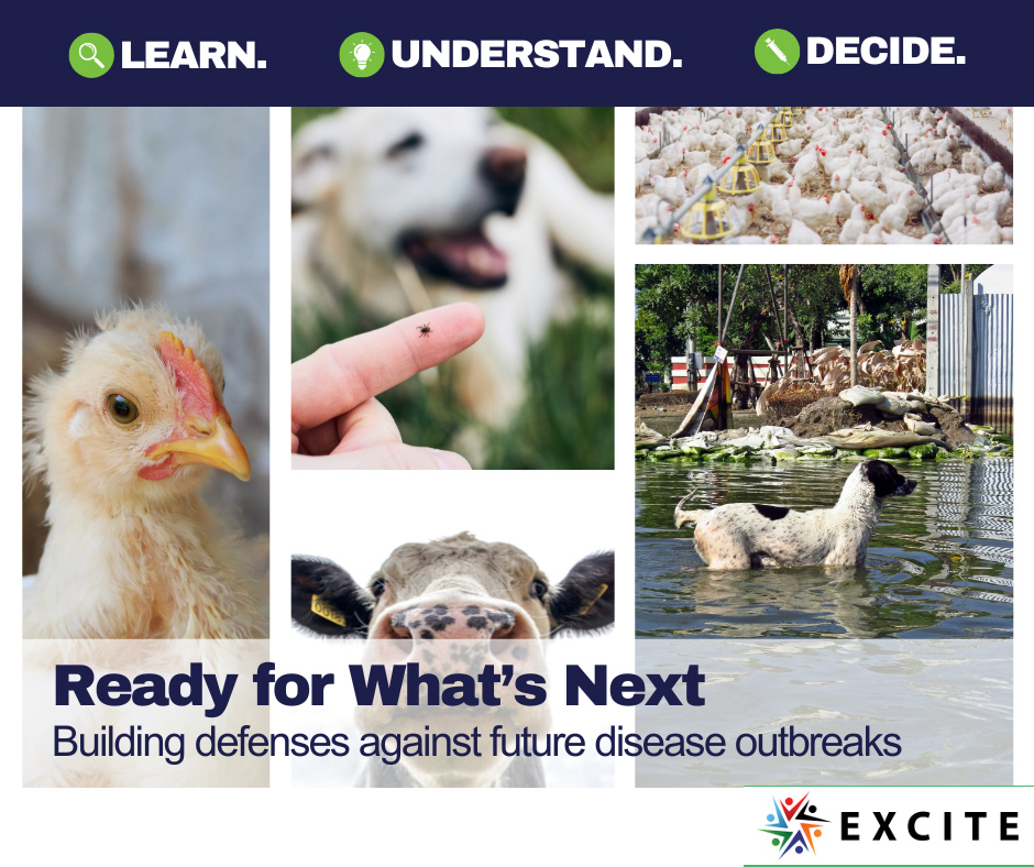 Ready-for-What-is-Next-Social-Media-Post_th Ready for What is Next with farm animals