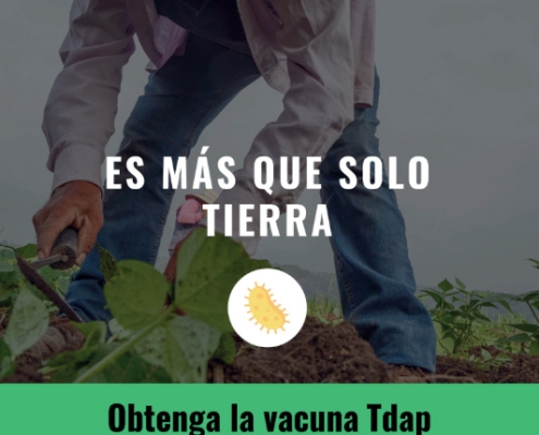 Agriculture TDAP Poster 18 x 24 Spanish