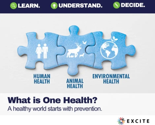 What is One Health puzzle pieces